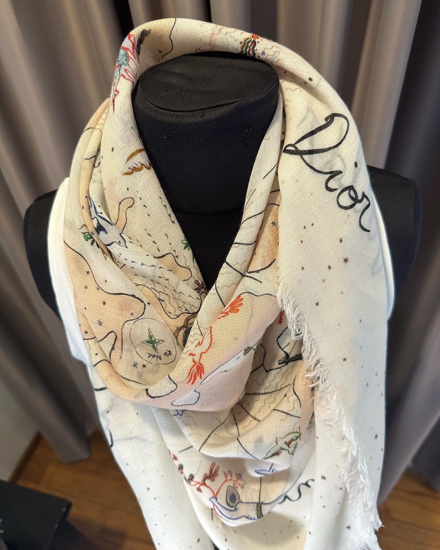 Christian Dior Explore in the World Shawl